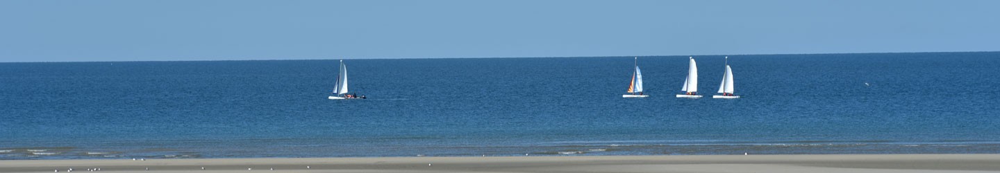 Photo by Agence Olloweb