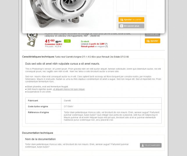 Graphisme du modèle de la page article avec zoom