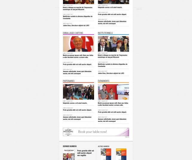 Graphisme de la page d'accueil en déclinaison tablette