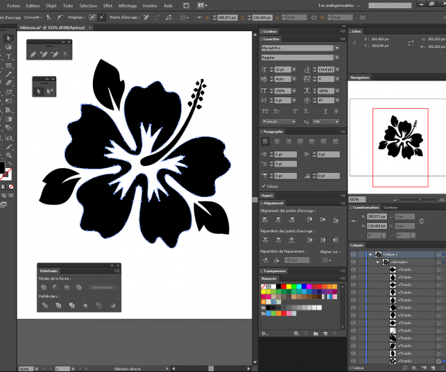 Hibiscus depuis Illustrator