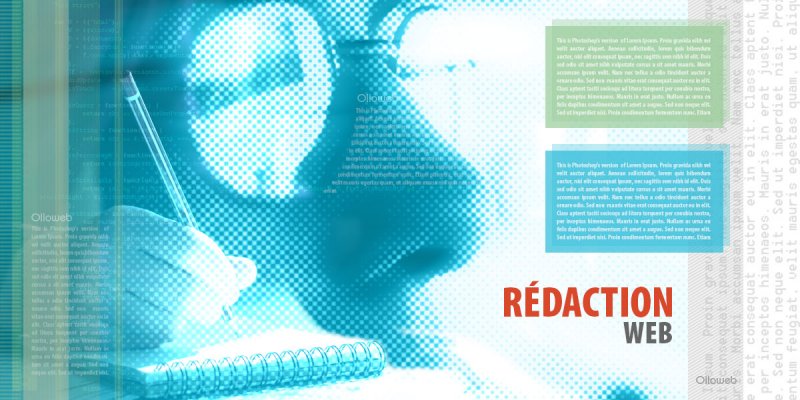 Rédaction pour site e-commerce